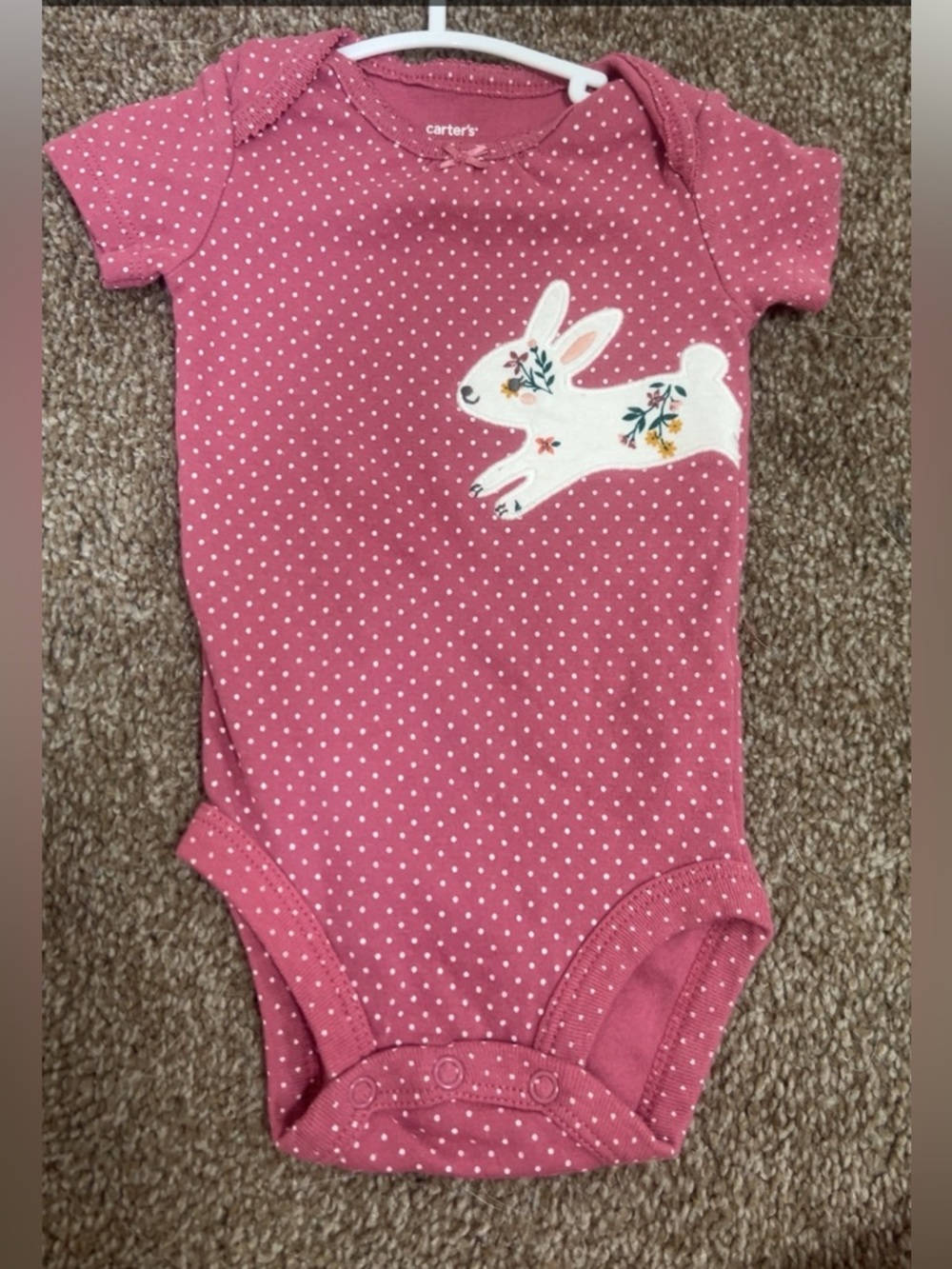 6month bundle